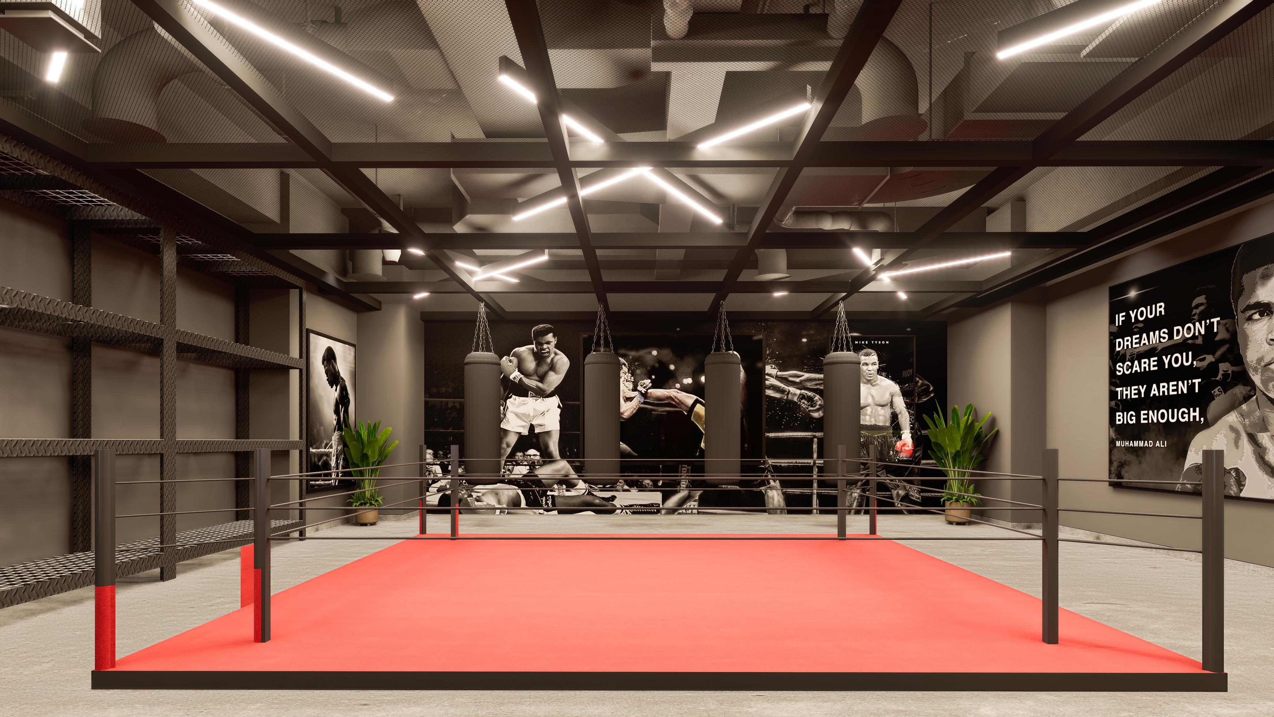 Professional MMA Ring