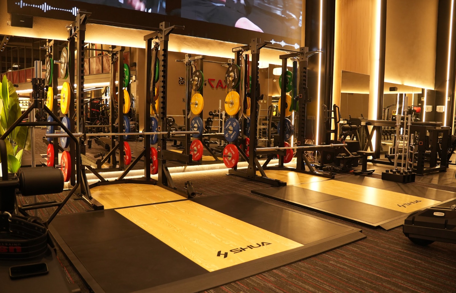 Olympic Lifting Platforms