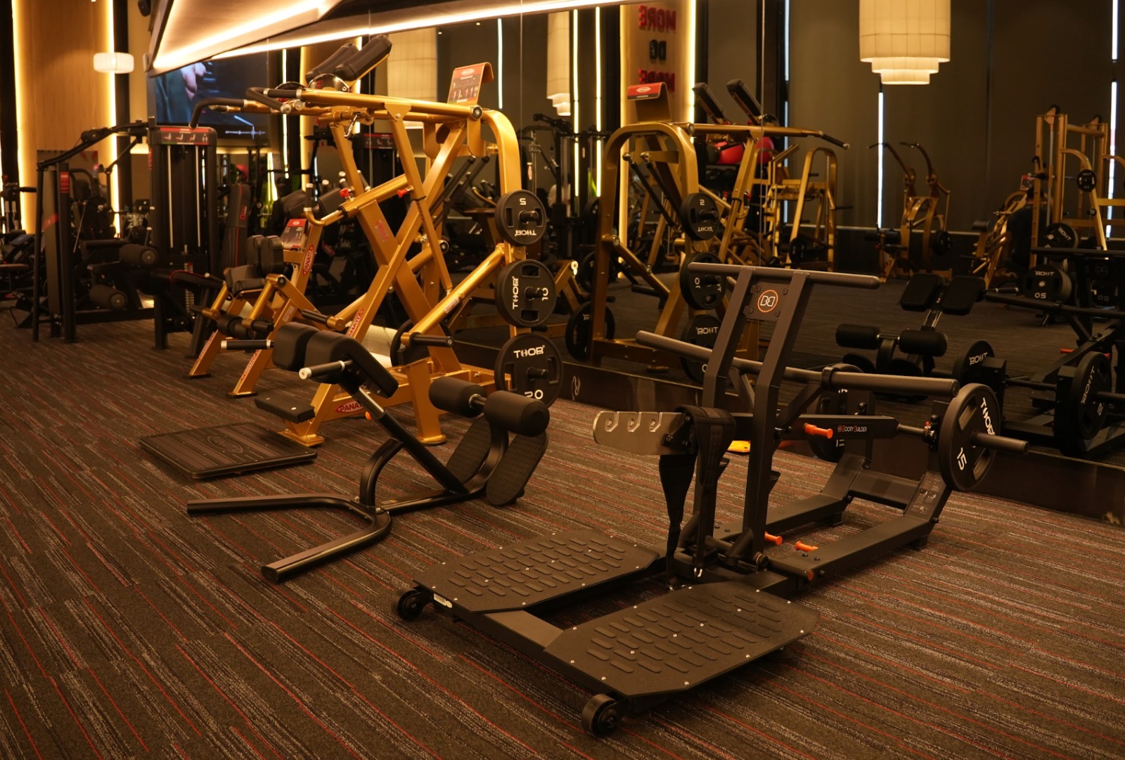 Gold Panatta Strength Line